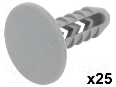 RX-10052 - 1