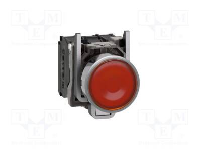 XB4BW35B5 - 1